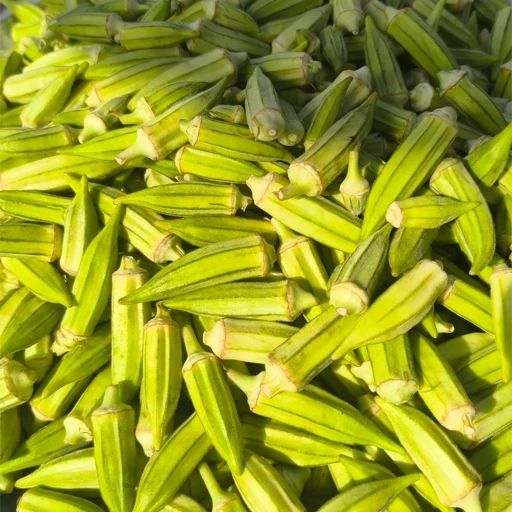 تصویر بامیه سبز